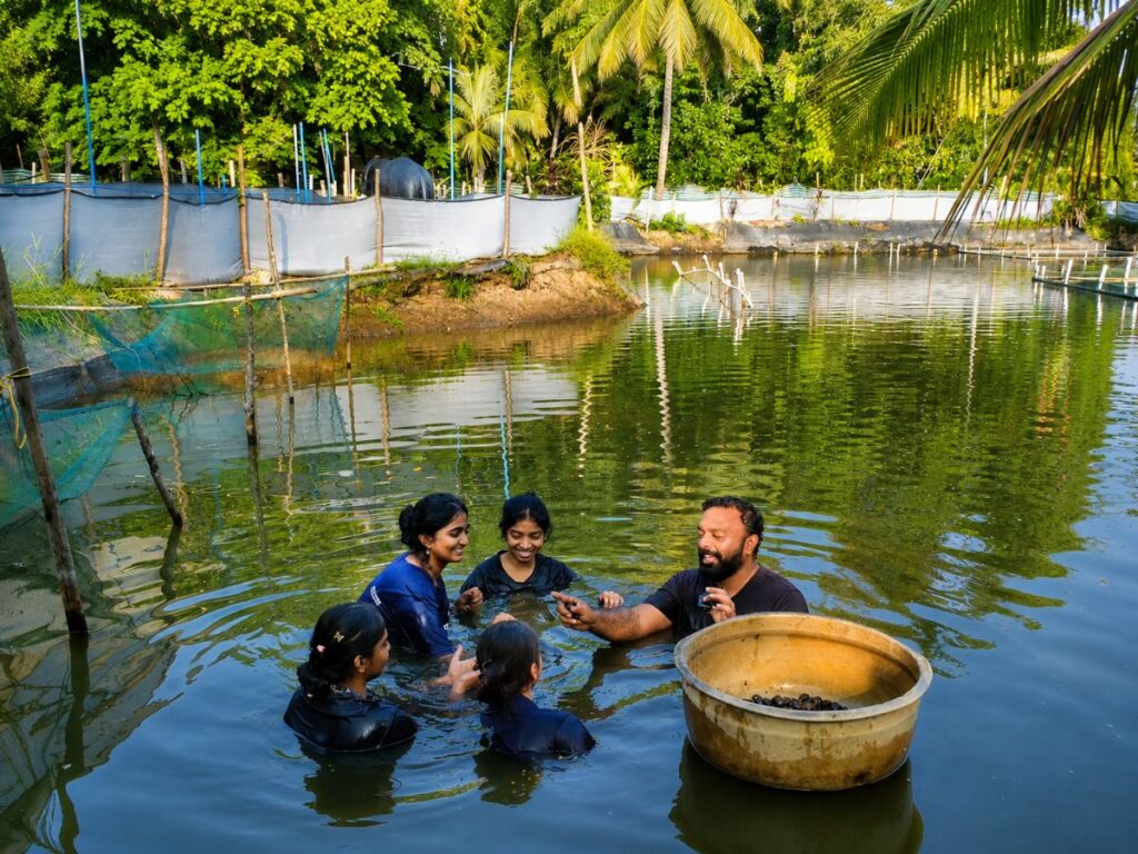 Collecting Clams in Vaikom Fish Farm