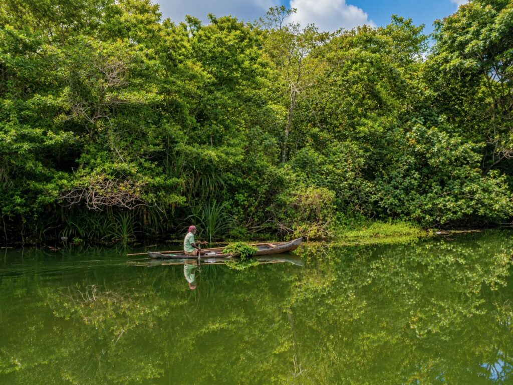 Vaikom Fish Farm