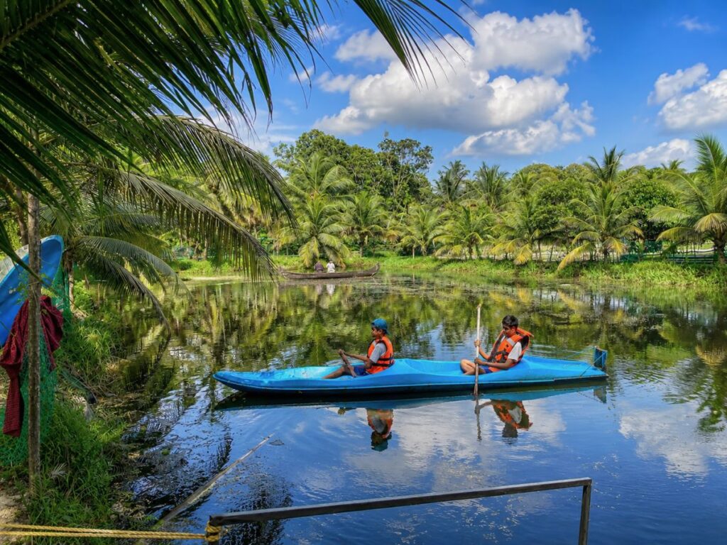 Kayaking in Fish Farm - Vaikom