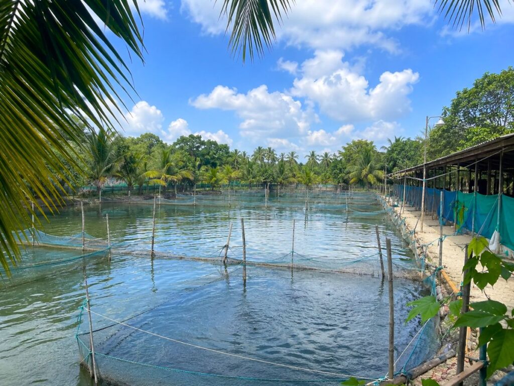 Vaikom Fish Farm