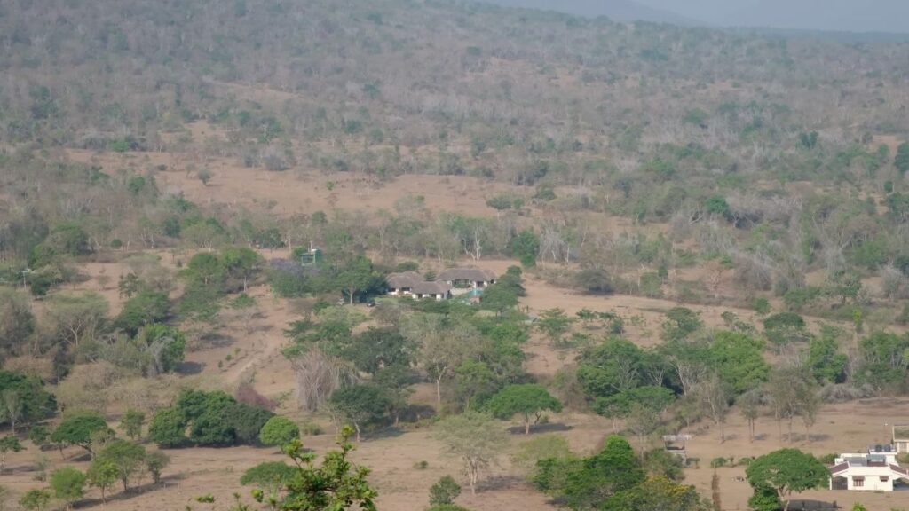 A view of Masinagudi forest area from Vibhuthi Malai