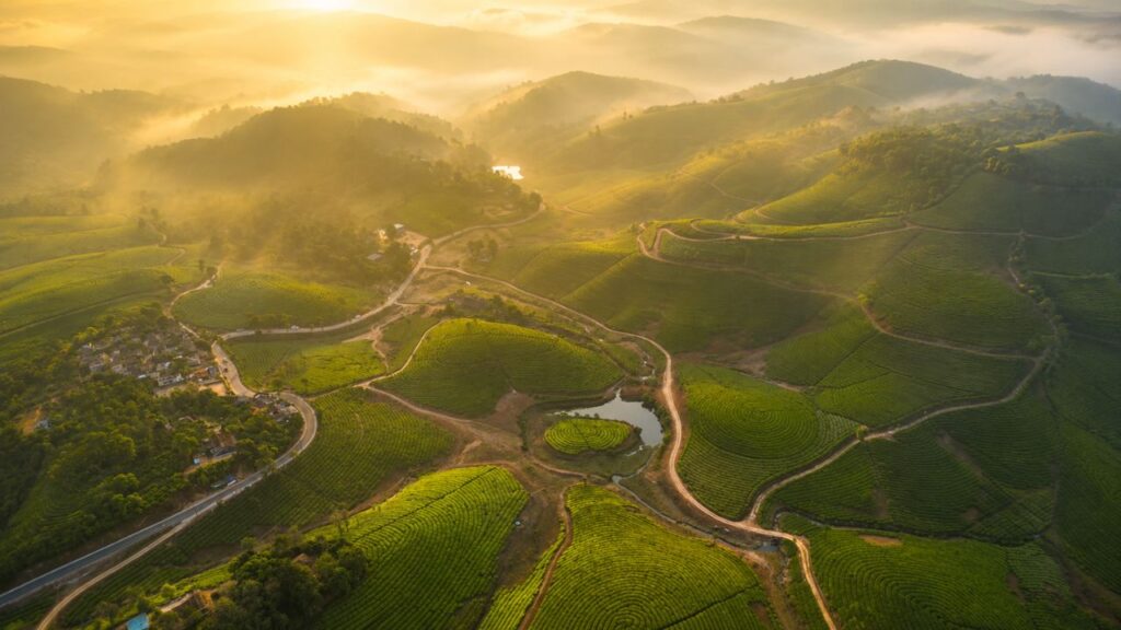 Things to Do in Vagamon in One Day
