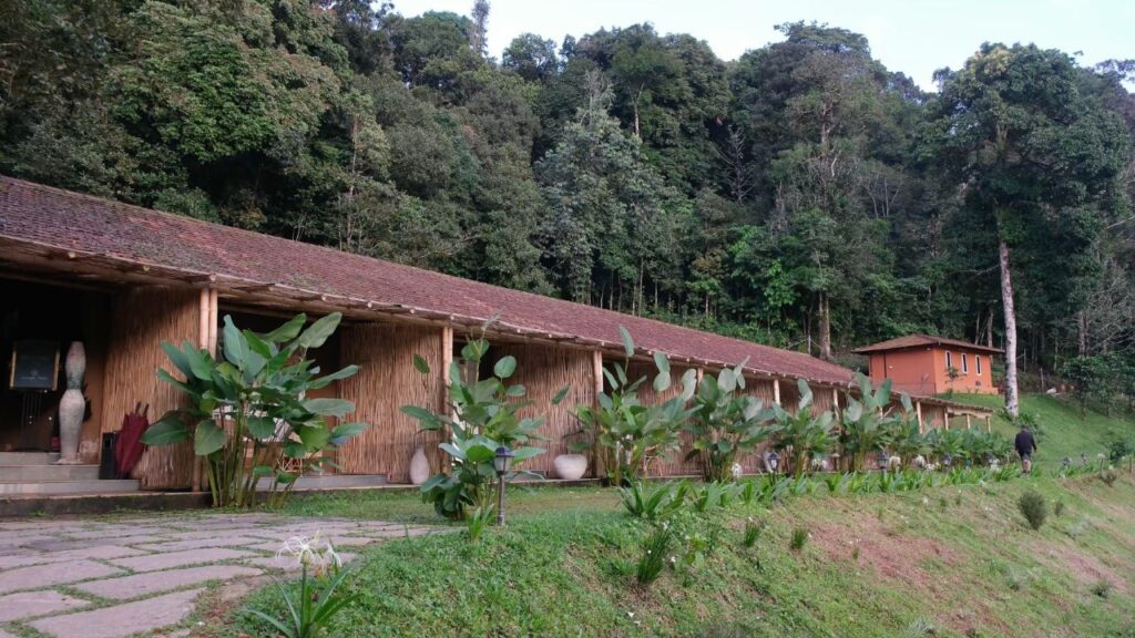 Surrounded by Forest in Wayanad