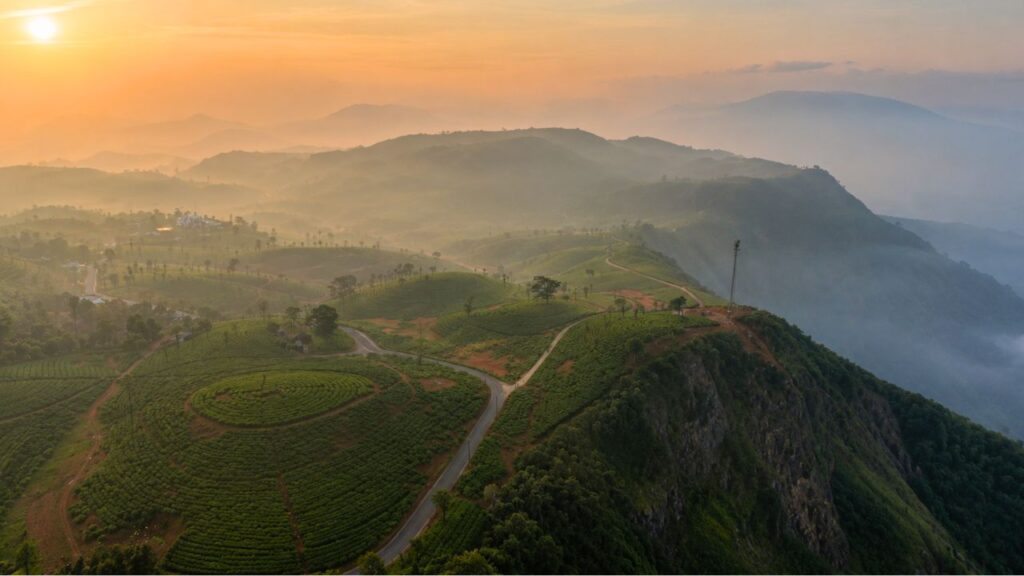 Tea Plantations in Pullikkanam