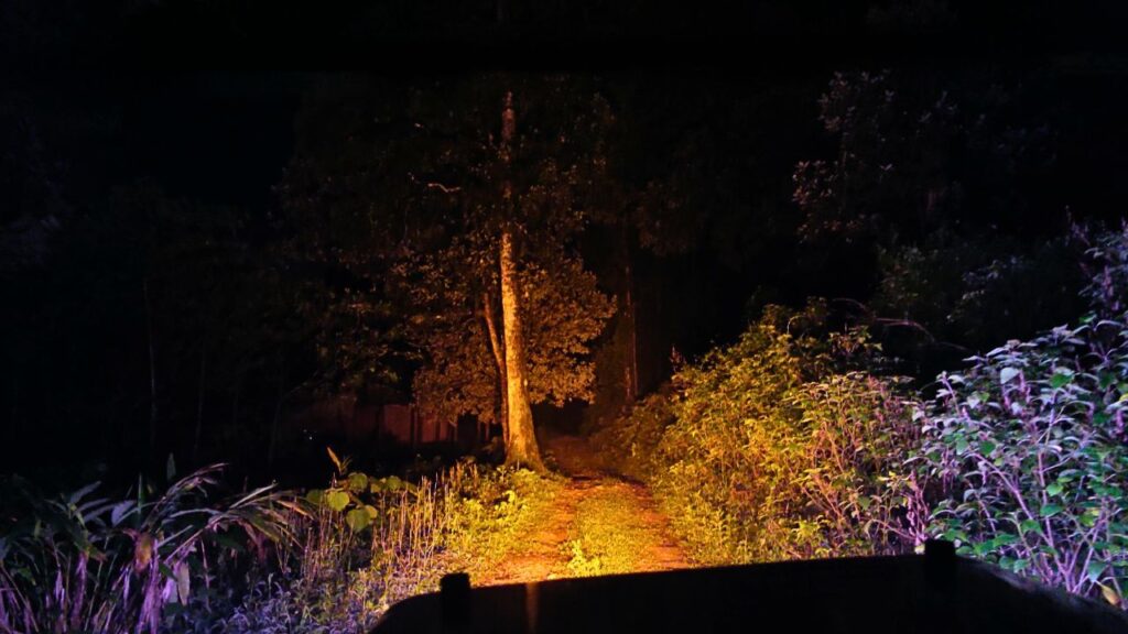 Night Jeep Safari from Jungle Park Resort in Wayanad