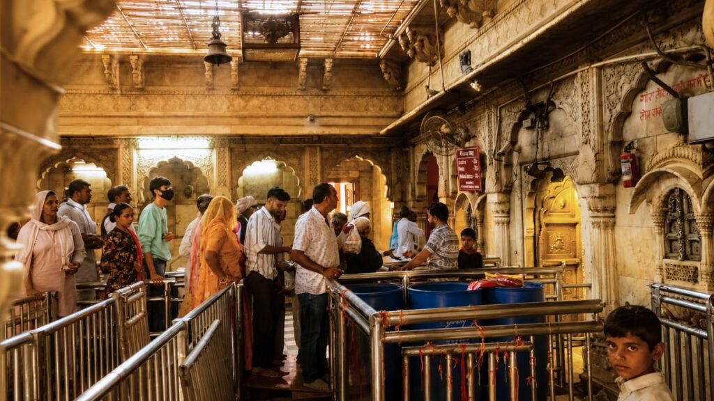 Karni Mata Temple - The Rat Temple of India