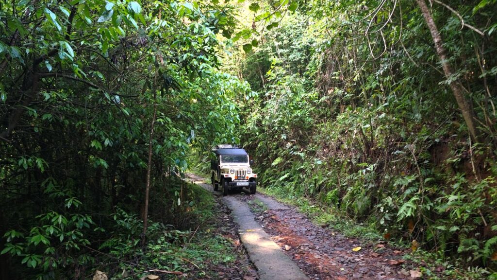 On the way to Jungle Park Resort - Forest Stay in Wayanad