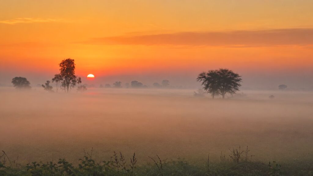 Another Sunrise During our Rajadhani Express Journey - Foggy Rajasthan