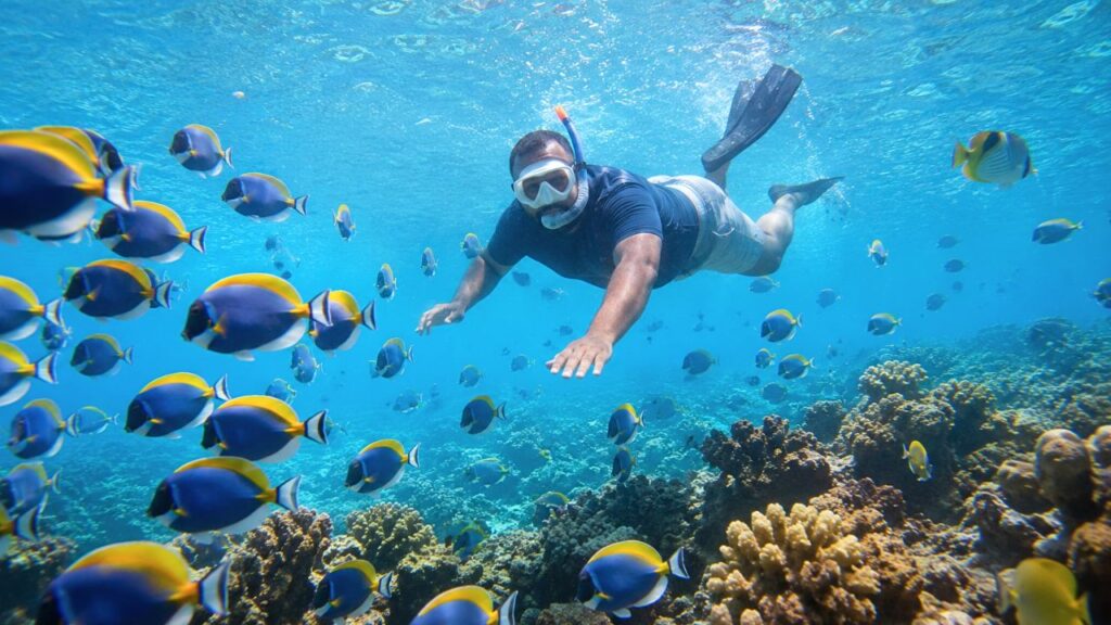 Enjoying Underwater Experience in the Maldives Sea