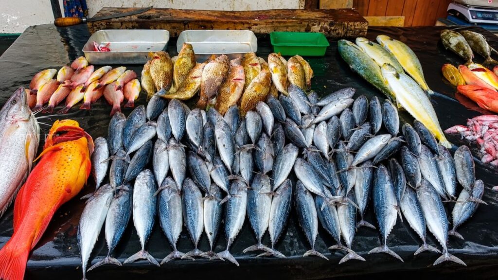 Fish Market in Sri Lanka