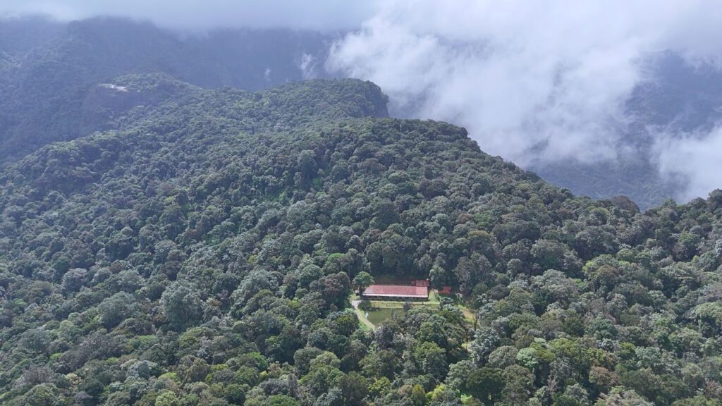 Forest Stay in Wayanad - Vythiri
