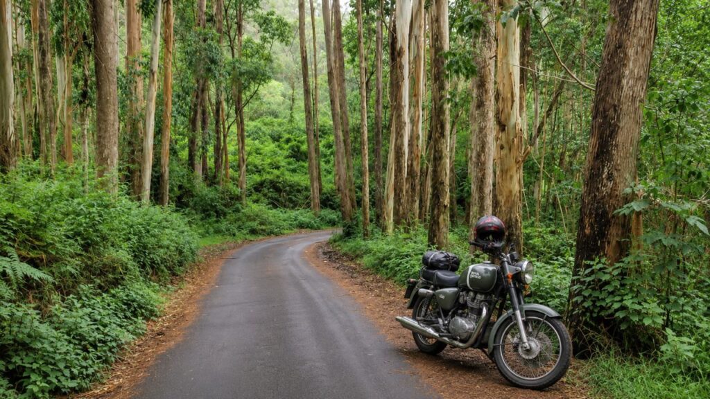 Kodaikanal to Poondi Route