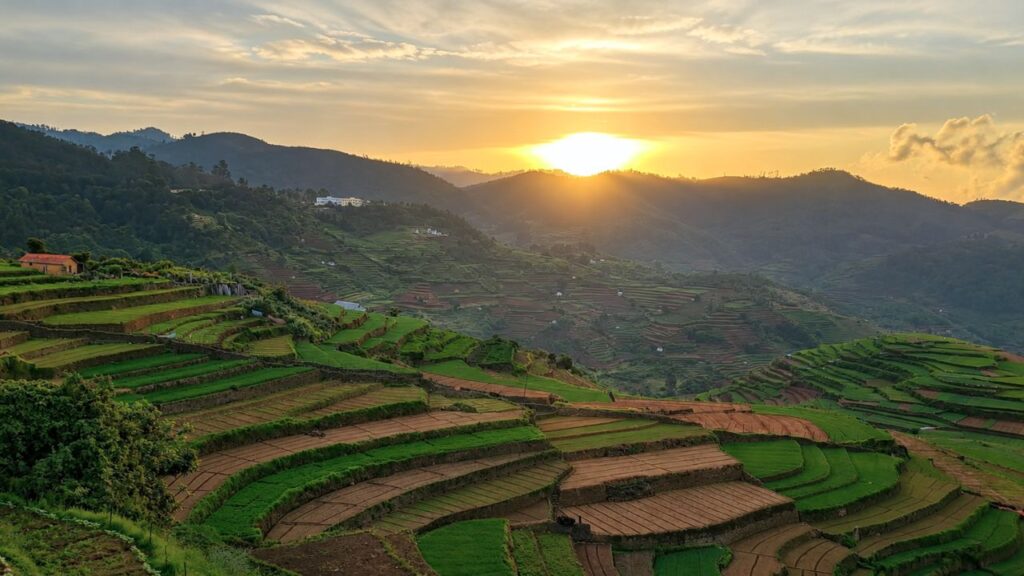 Places to Visit Near Kodaikanal: Poombarai