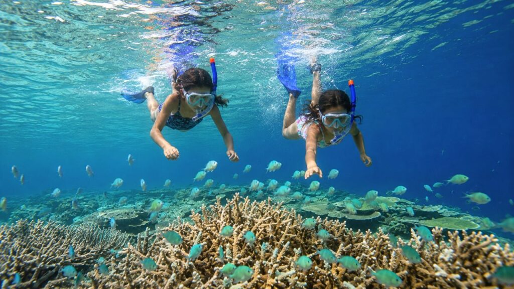 Snorkelling in Maldives