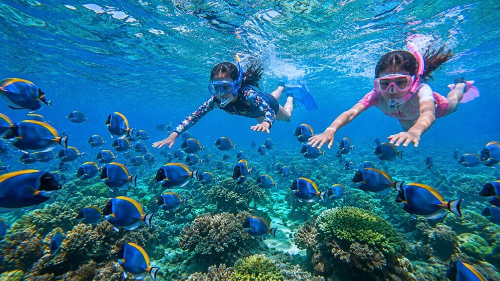 Snorkeling in Meeru Island, Maldives