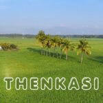 Things to do in Thenkasi