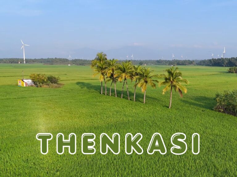 Things to do in Thenkasi