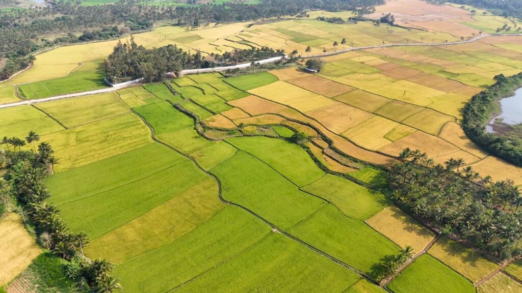 Things to do in Thenkasi in 1 day