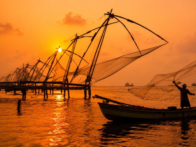 Things to do in Kochi in 1 Day