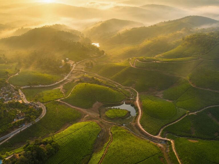 Things to do in Vagamon - Food N Travel