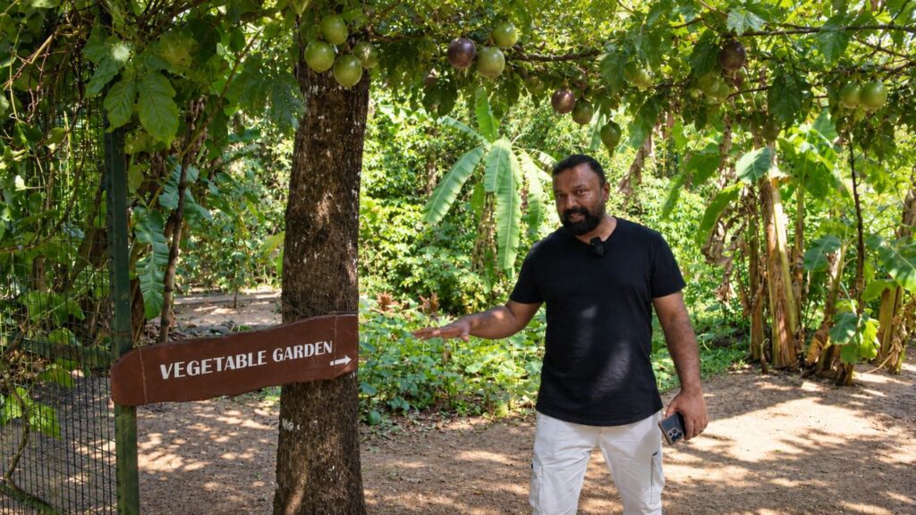 Vegetable Garden in Xandari